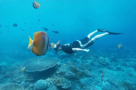Snorkeling di Nusa Penida