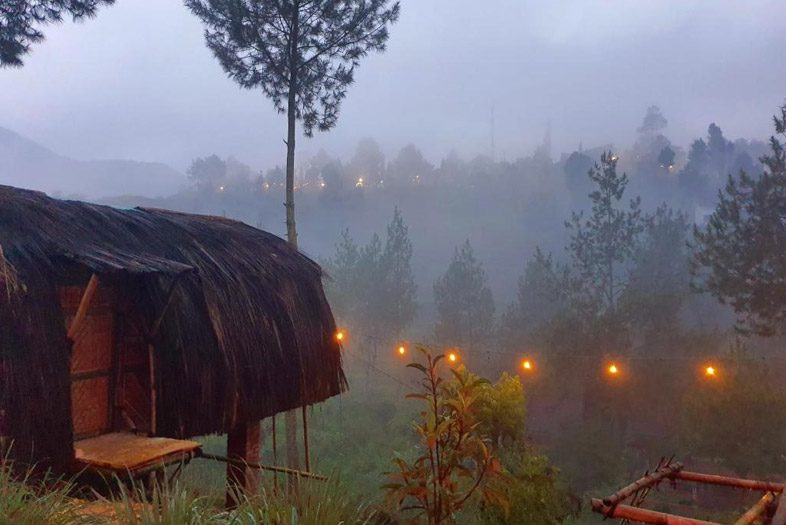 Glamping di Jungle