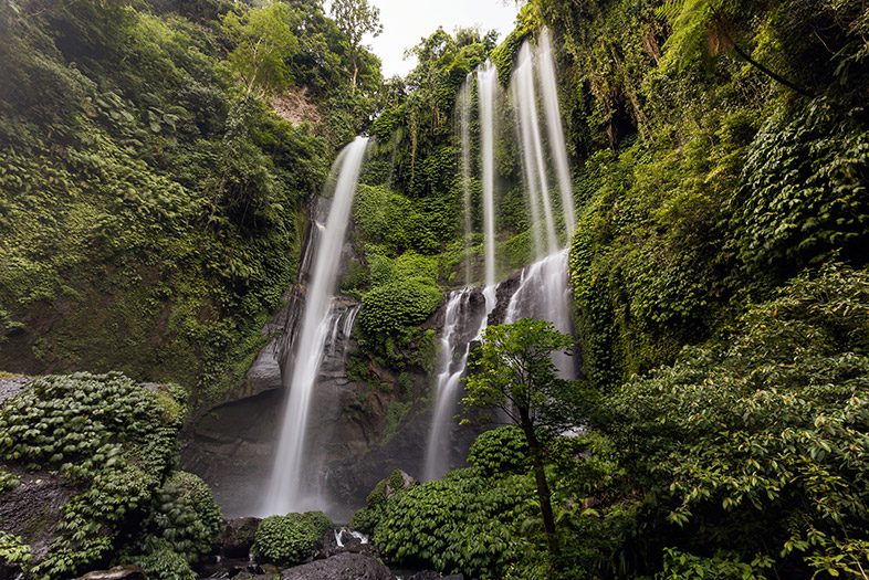 Air Terjun Sekumpul, Bali