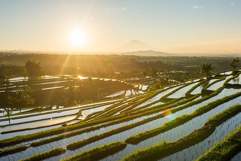 Jatiluwih Rice Fields, Bali