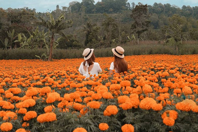 Taman Gemitir di Desa Temukus, Bali