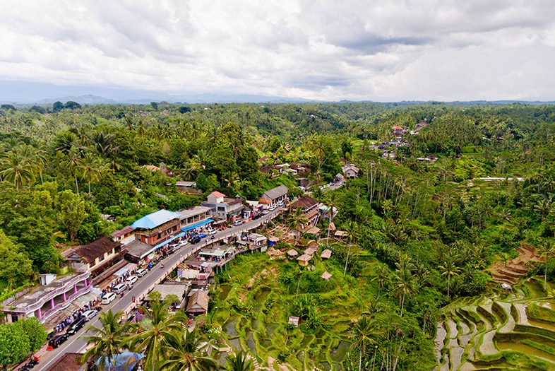 Pusat Kerajinan Tegalalang, Ubud