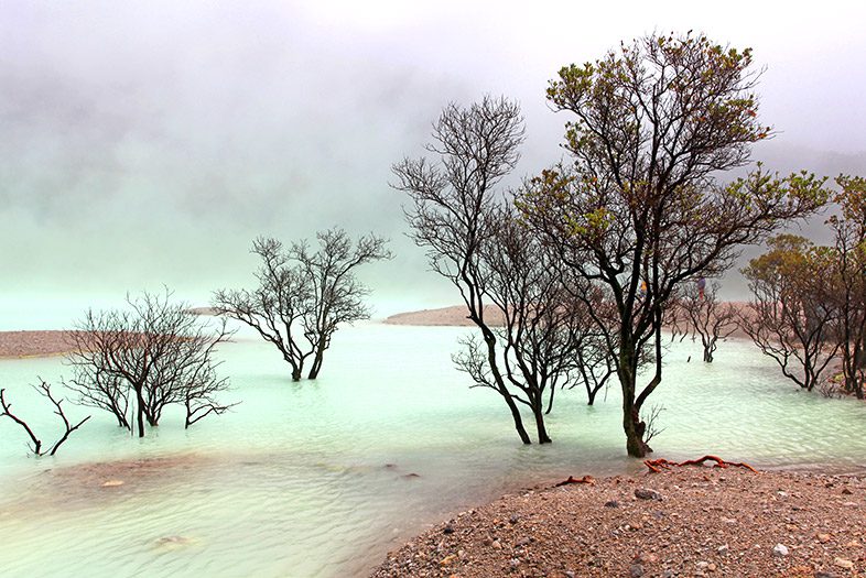 Kawah Putih