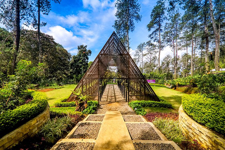 Orchid Forest Cikole, Bandung