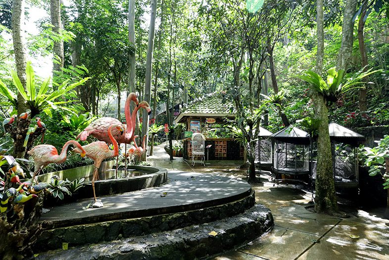 Bird and Bromelia Pavilion, Bandung