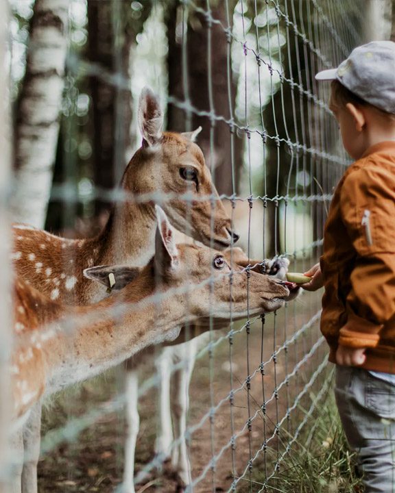 Lembang Park and Zoo, Bandung