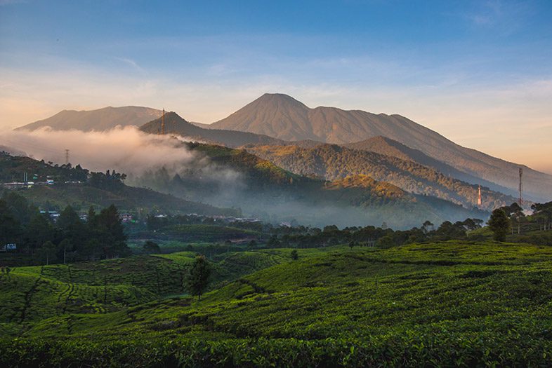 Gunung Gede Pangrango, Bogor