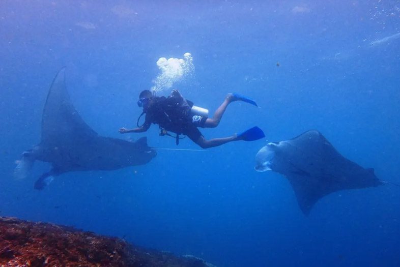 Scuba Diving, Nusa Penida