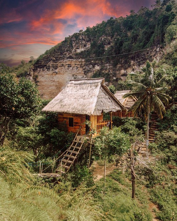 Tree House, Nusa Penida