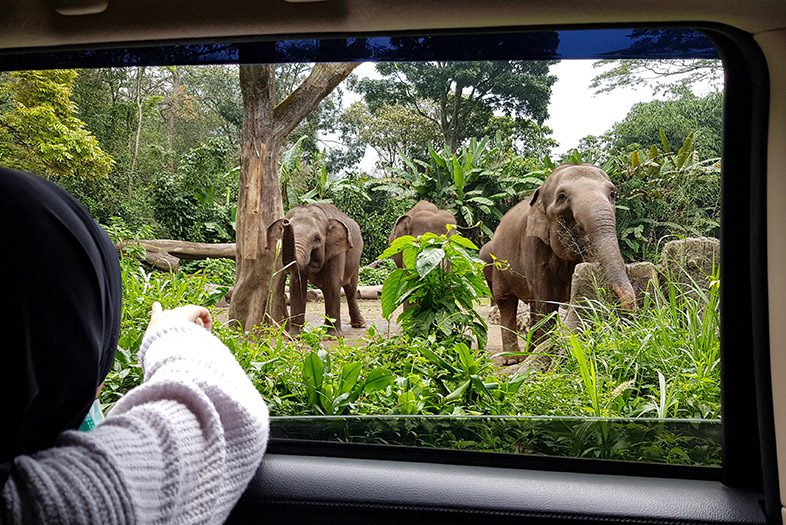 Taman Safari Indonesia