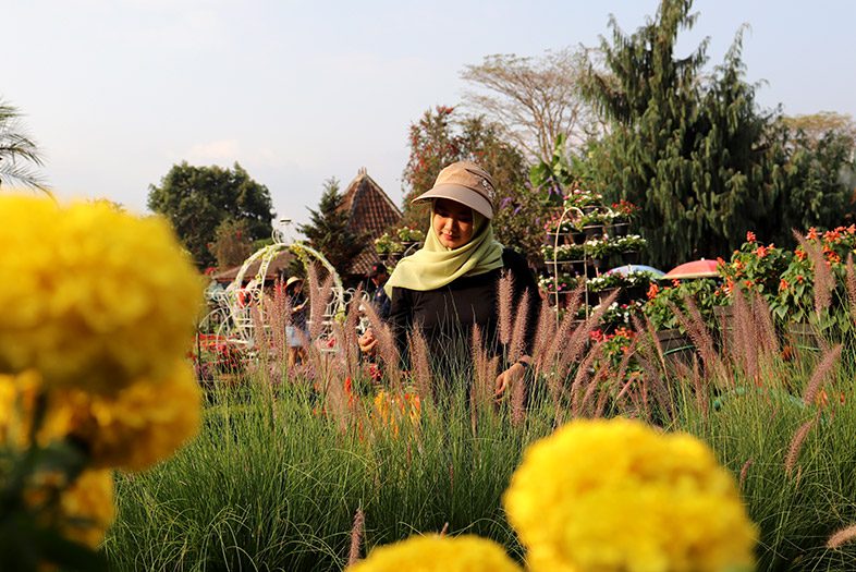 Kebun Begonia, Bandung