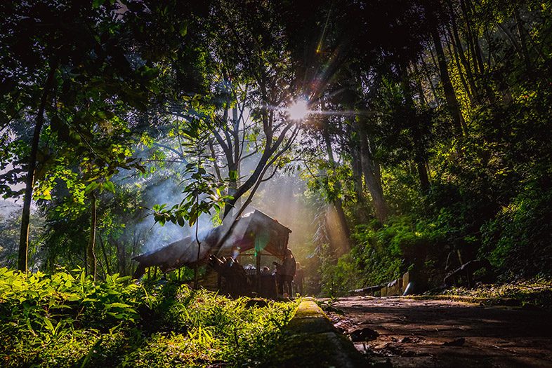 Taman Hutan Raya (Tahura) Juanda, Bandung